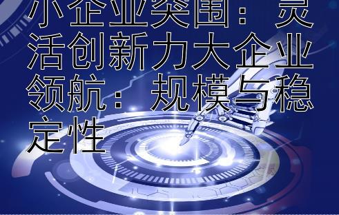 小企业突围：灵活创新力大企业领航：规模与稳定性