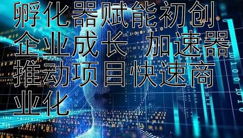 创新引擎：科技孵化器赋能初创企业成长 加速器推动项目快速商业化